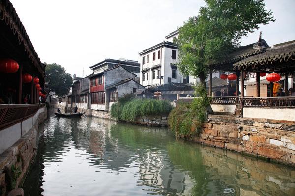 福建“小苗木”出海闯世界